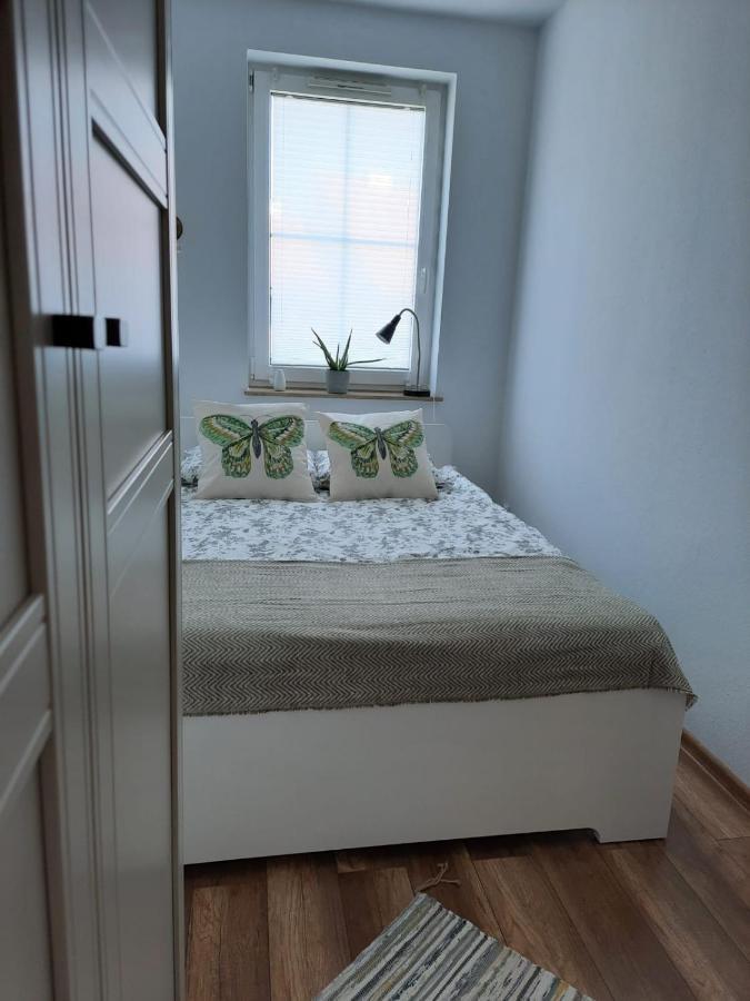 Apartament Felina Świeradów-Zdrój Zewnętrze zdjęcie