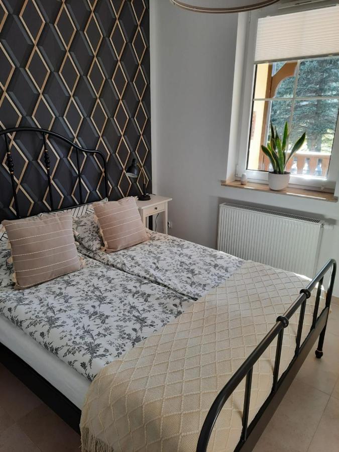 Apartament Felina Świeradów-Zdrój Zewnętrze zdjęcie