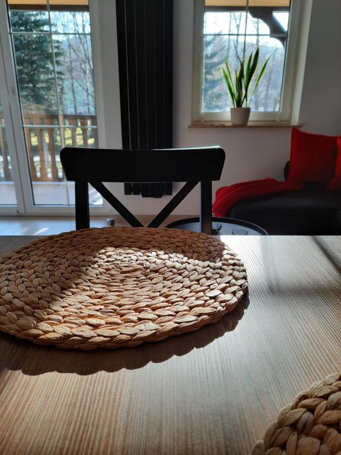 Apartament Felina Świeradów-Zdrój Zewnętrze zdjęcie